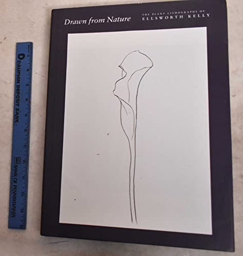Drawn From Nature: The Plant Lithographs Of Ellsworth Kelly