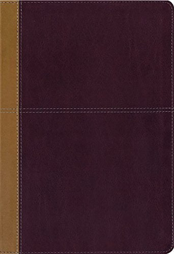 KJV, Amplified, Parallel Bible, Large Print, Leathersoft, Tan/Red, Red Letter Edition: Two Bible Versions Together for Study and Comparison