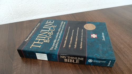 Bible New International Version Thinline Silver Edging