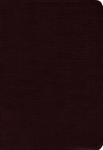 No Image Available