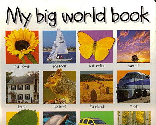 My Big World Book (My Big Board Books)
