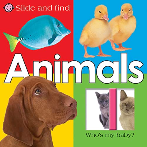 No Image Available
