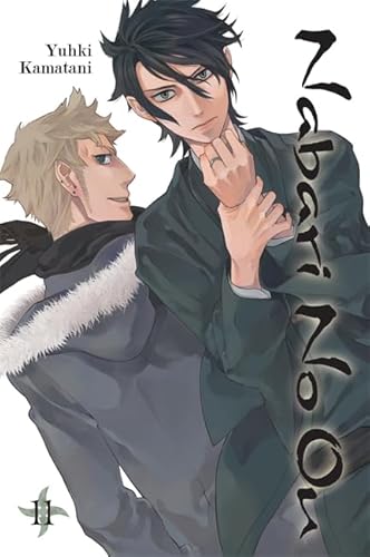 Nabari No Ou, Vol. 11 (Volume 11)