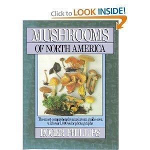 Mushrooms of North America