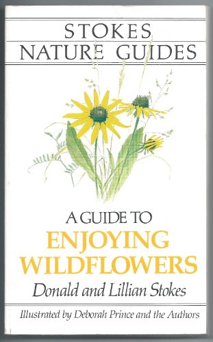 A Guide to Enjoying Wildflowers
