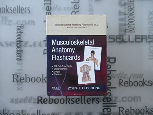 Musculoskeletal Anatomy Flashcards