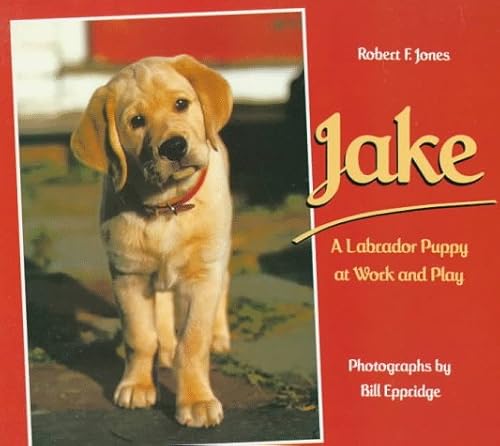 Jake: A Labrador Puppy at Work and Play