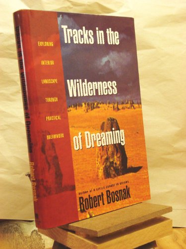 Tracks in the Wilderness of Dreaming