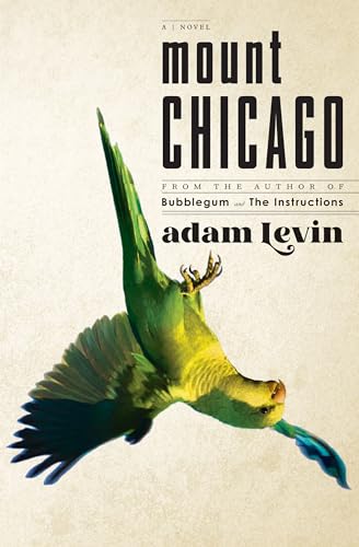 Mount Chicago: A Novel