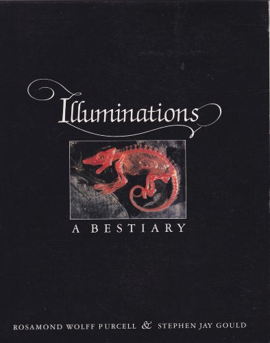 Illuminations: A bestiary