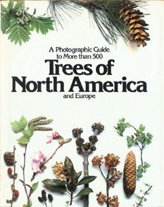 No Image Available
