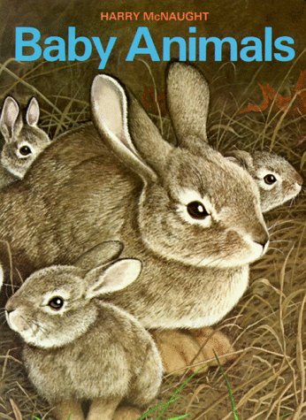 Baby Animals (Board Books)