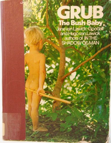 Grub The Bush Baby