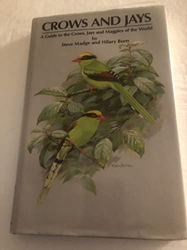 Crows and Jays: A Guide to the Crows, Jays and Magpies of the World