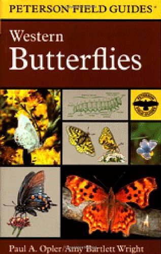 A Field Guide to Western Butterflies (Peterson Field Guide Series)