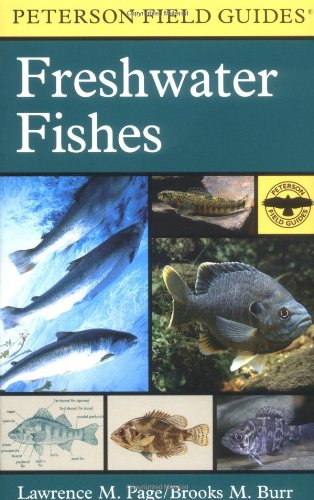 A Field Guide to Freshwater Fishes: North America, North of Mexico (Peterson Field Guide)