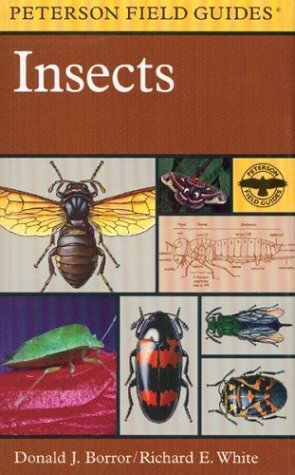 A Field Guide to Insects: America North of Mexico (Peterson Field Guide Series)