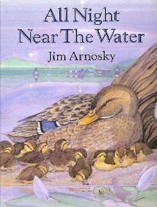 All Night Near Water