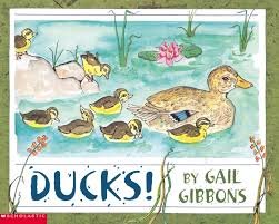 Ducks