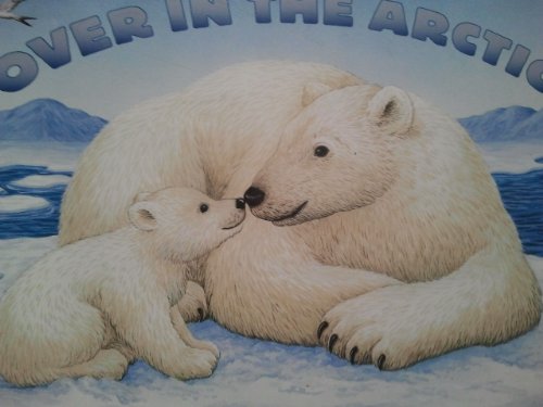 Over in the Arctic
