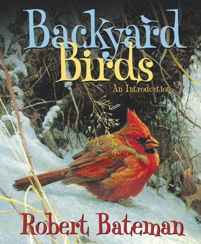 Backyard Birds : An Introduction