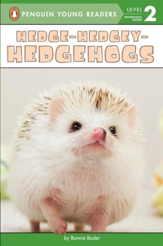 No Image Available