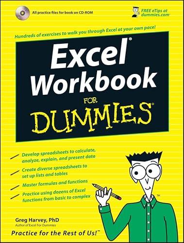 Excel Workbook For Dummies (For Dummies Series)