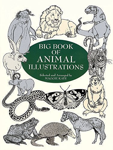 Big Book of Animal Illustrations (Dover Pictorial Archive)
