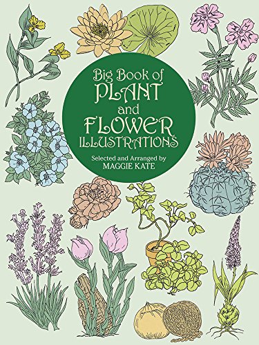 Big Book of Plant and Flower Illustrations (Dover Pictorial Archive)