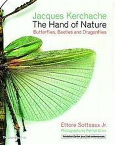 The Hand of Nature: Butterflies  Beetles  and Dragonflies