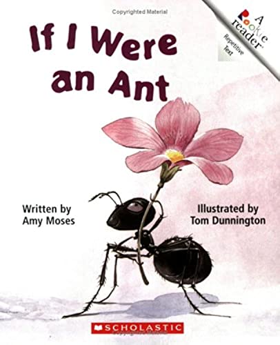 No Image Available