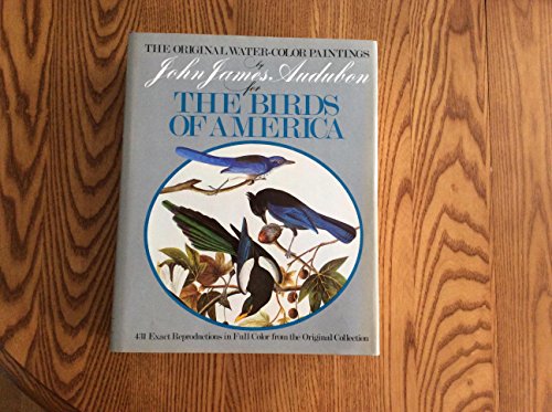 Original Water Color Paintings By John James Audubon For Birds Of America