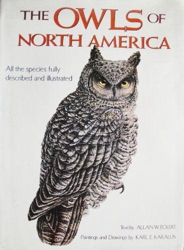 Owls Of North America (North of Mexico)