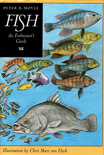 No Image Available