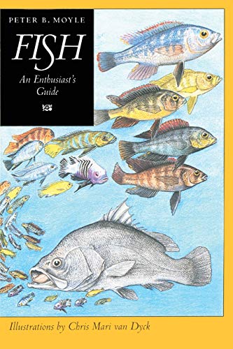 Fish: An Enthusiast's Guide
