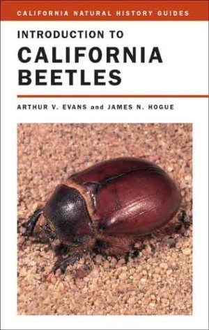 Introduction to California Beetles (Volume 78) (California Natural History Guides)