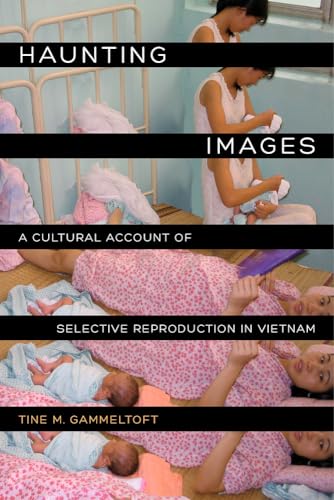 No Image Available