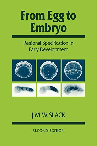 No Image Available