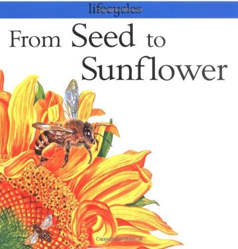 From Seed to Sunflower (Lifecycles)