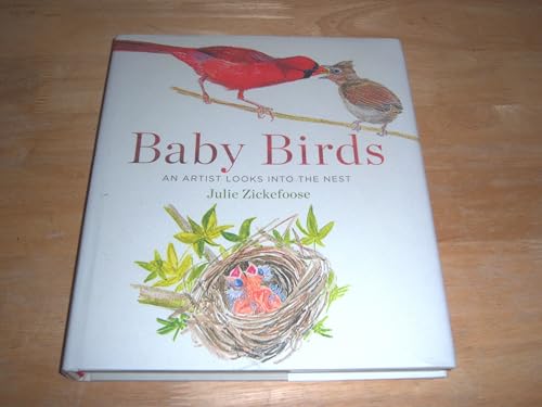 Baby Birds: An Artist Looks into the Nest