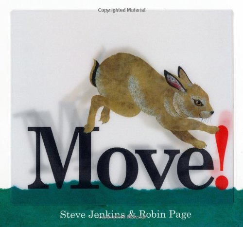 Move! Board book