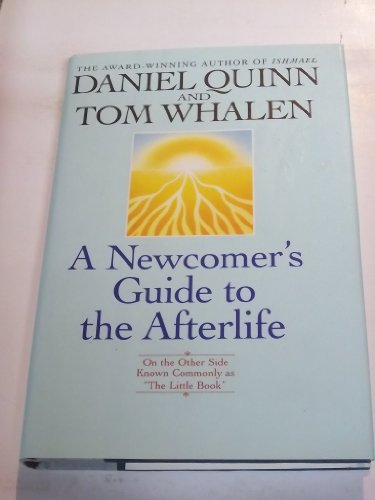 A Newcomer's Guide to the Afterlife