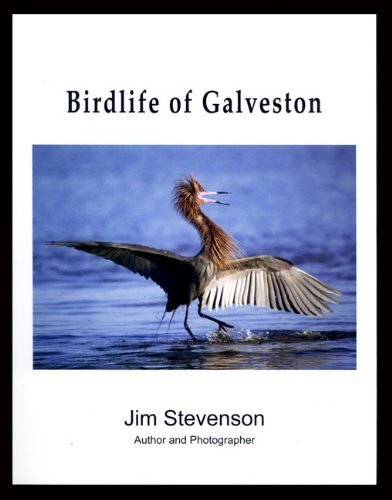 Birdlife of Galveston