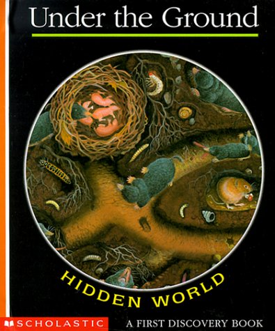 Hidden World: Under the Ground (A First Discovery Book)