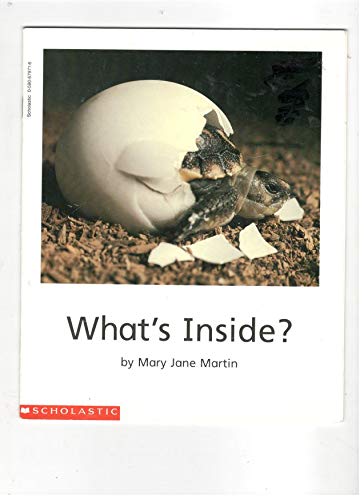 No Image Available