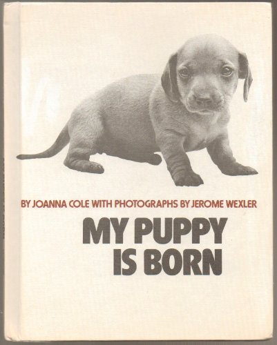 My Puppy Is Born