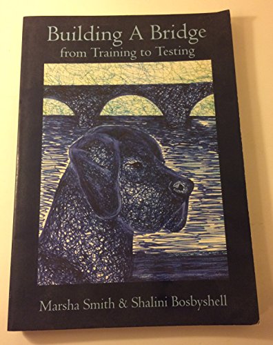 Building a Bridge : From Training to Testing
