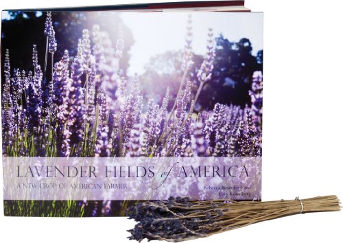 Lavender Fields of America, a New Crop of American Farmers