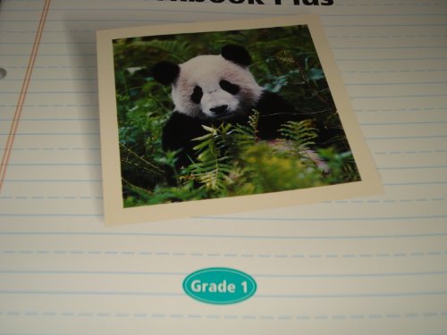 No Image Available