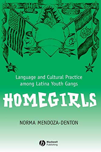 Homegirls: Language and Cultural Practice Among Latina Youth Gangs (New Directions in Ethnography)
